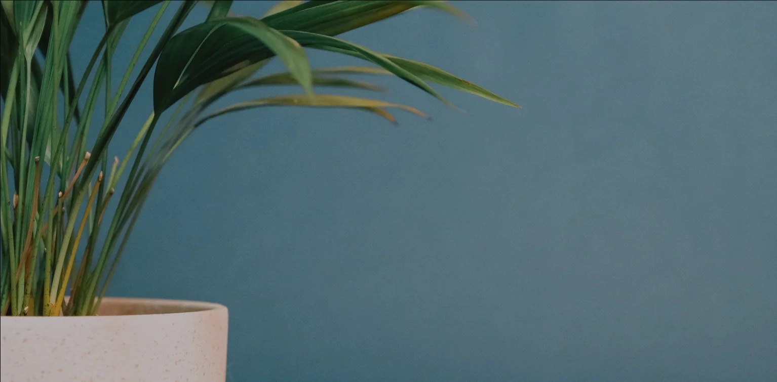 Hero background - investimenti immobiliari